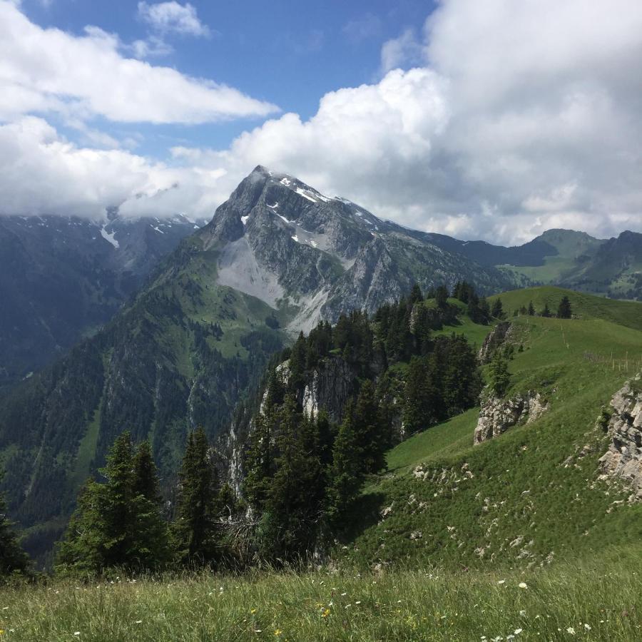 Gasthof Hirschen Oey Exterior foto